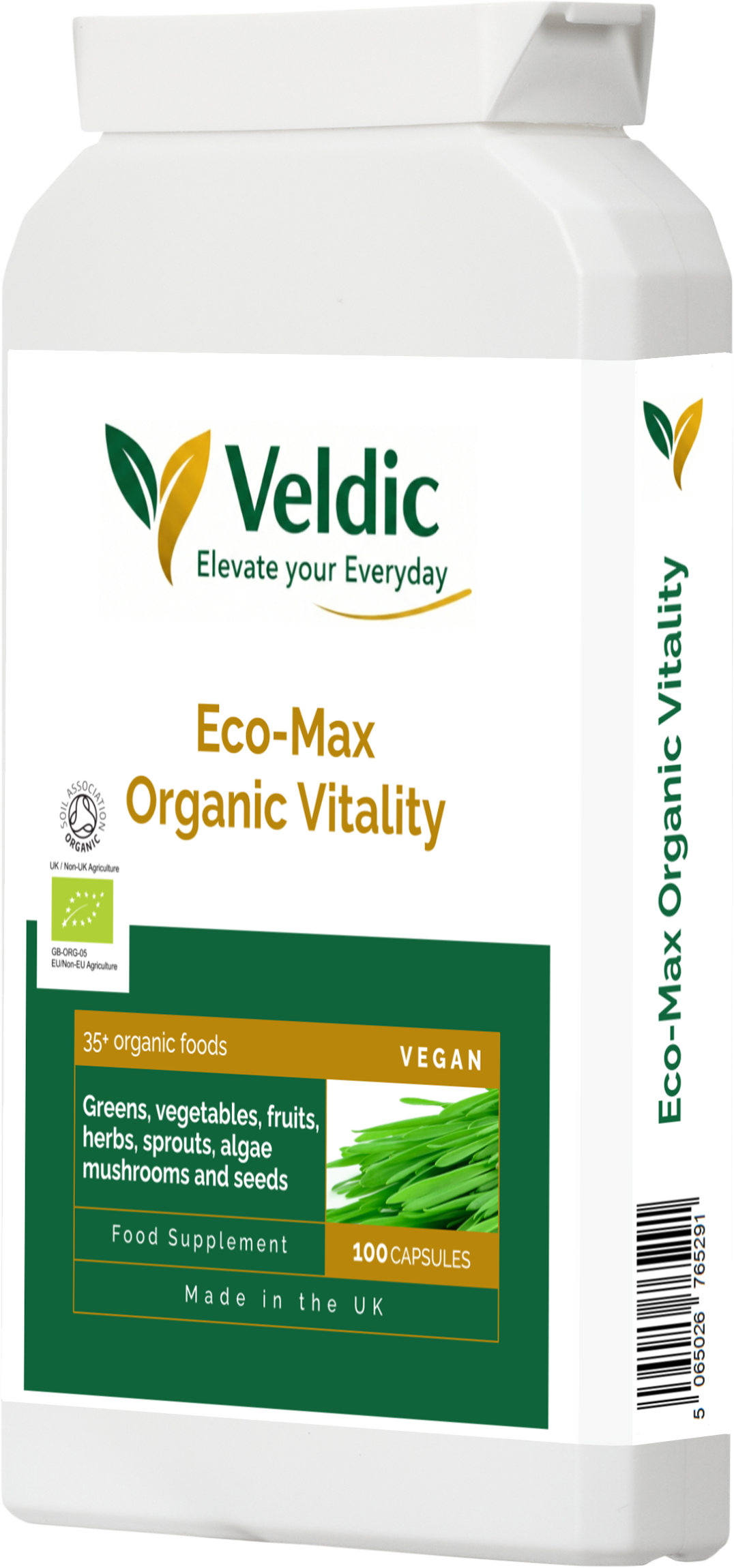 natural supplement for energy and immune support