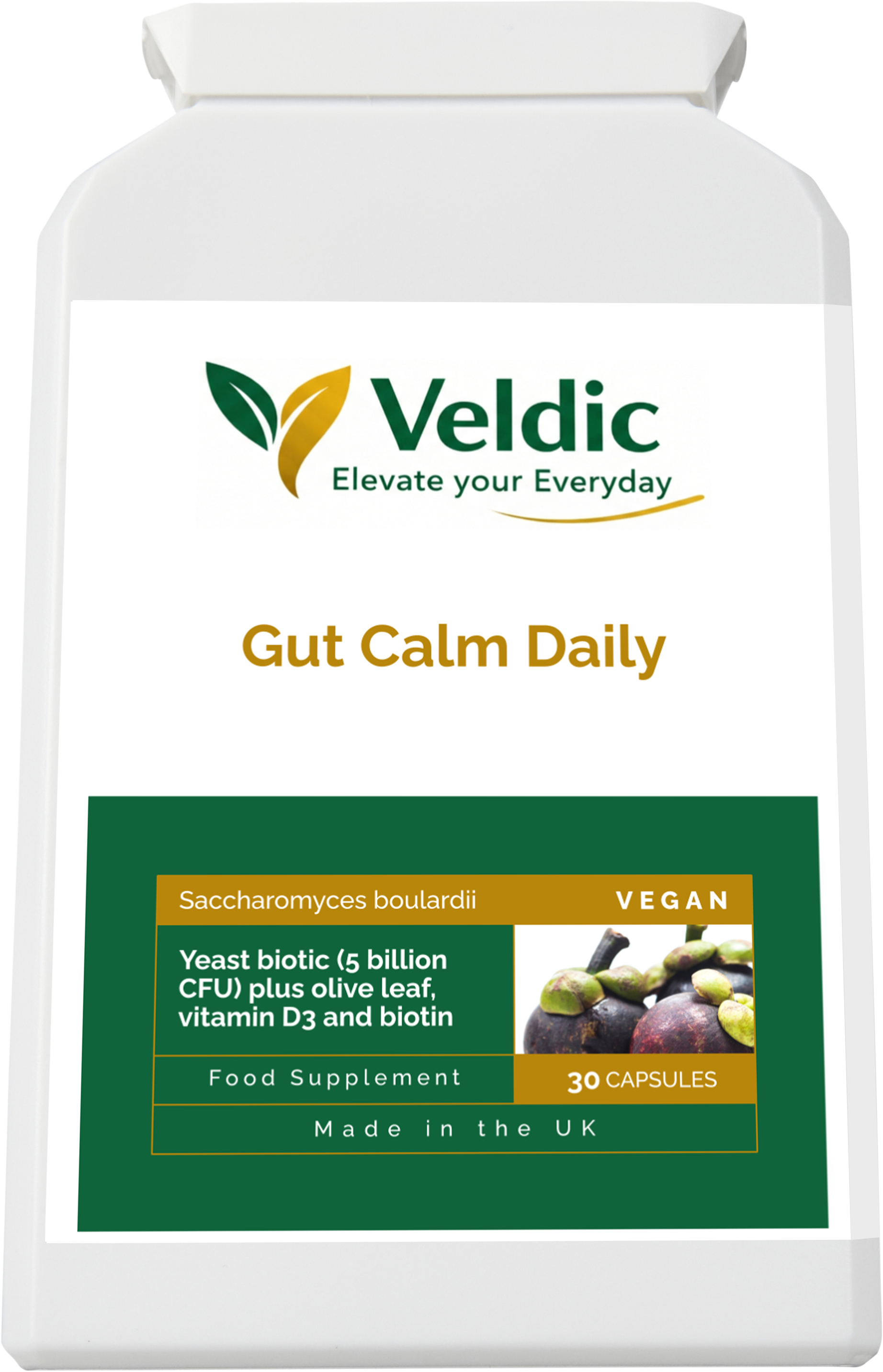 gut supplement for healthy lifestyle routine