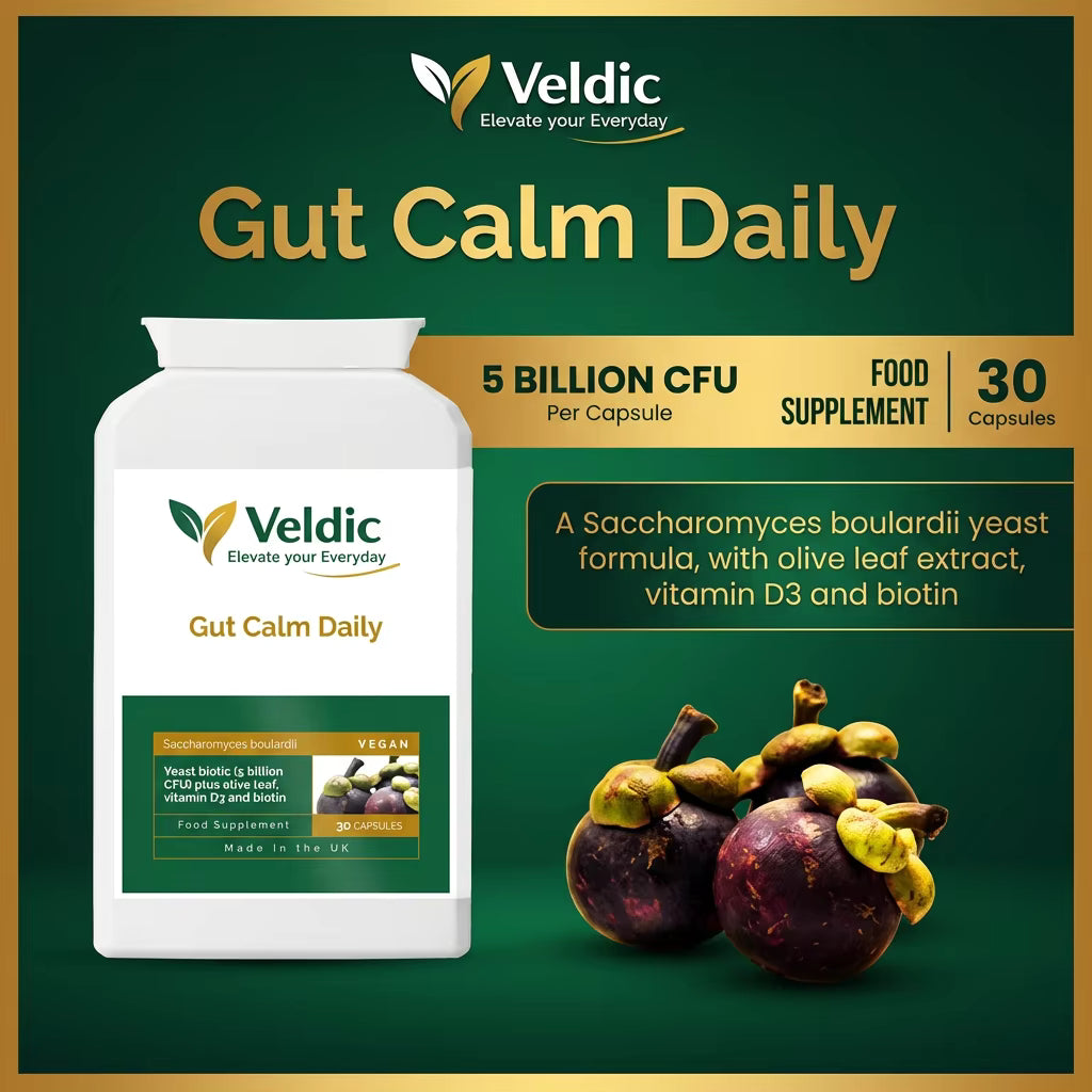 gut health supplement for daily digestive balance