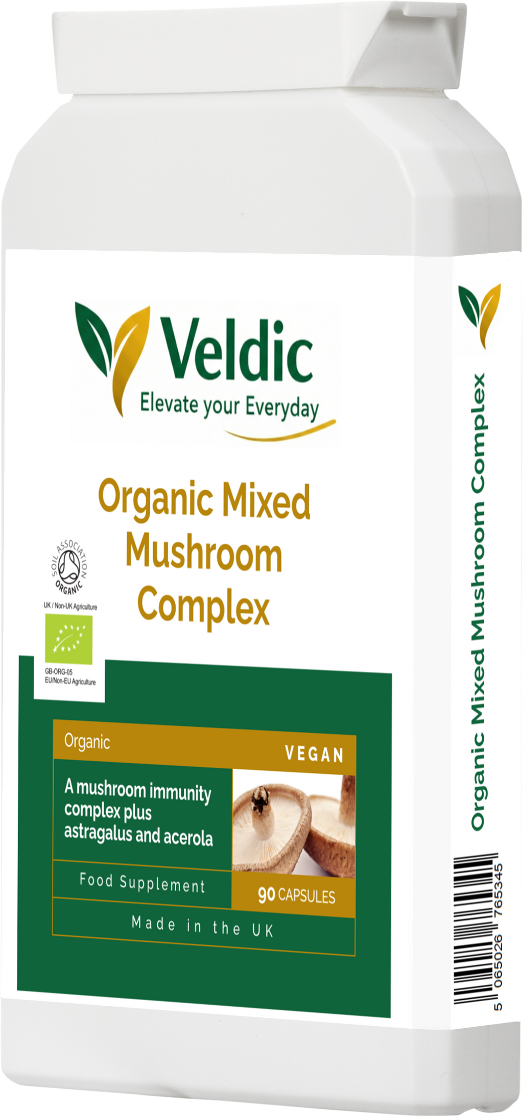 mushroom supplement for brain and immune health