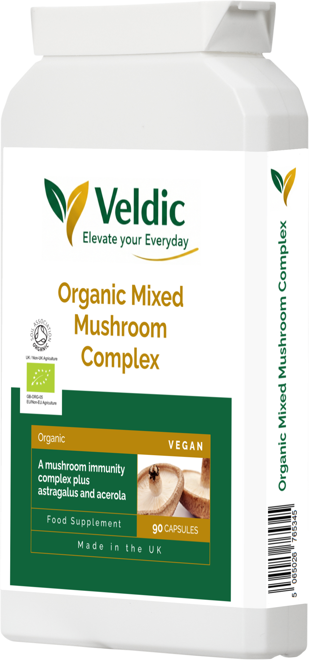 mushroom supplement for brain and immune health