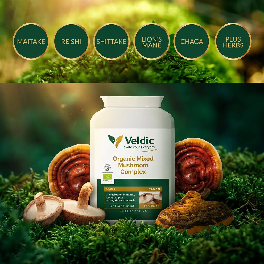 adaptogen supplement for stress and brain health