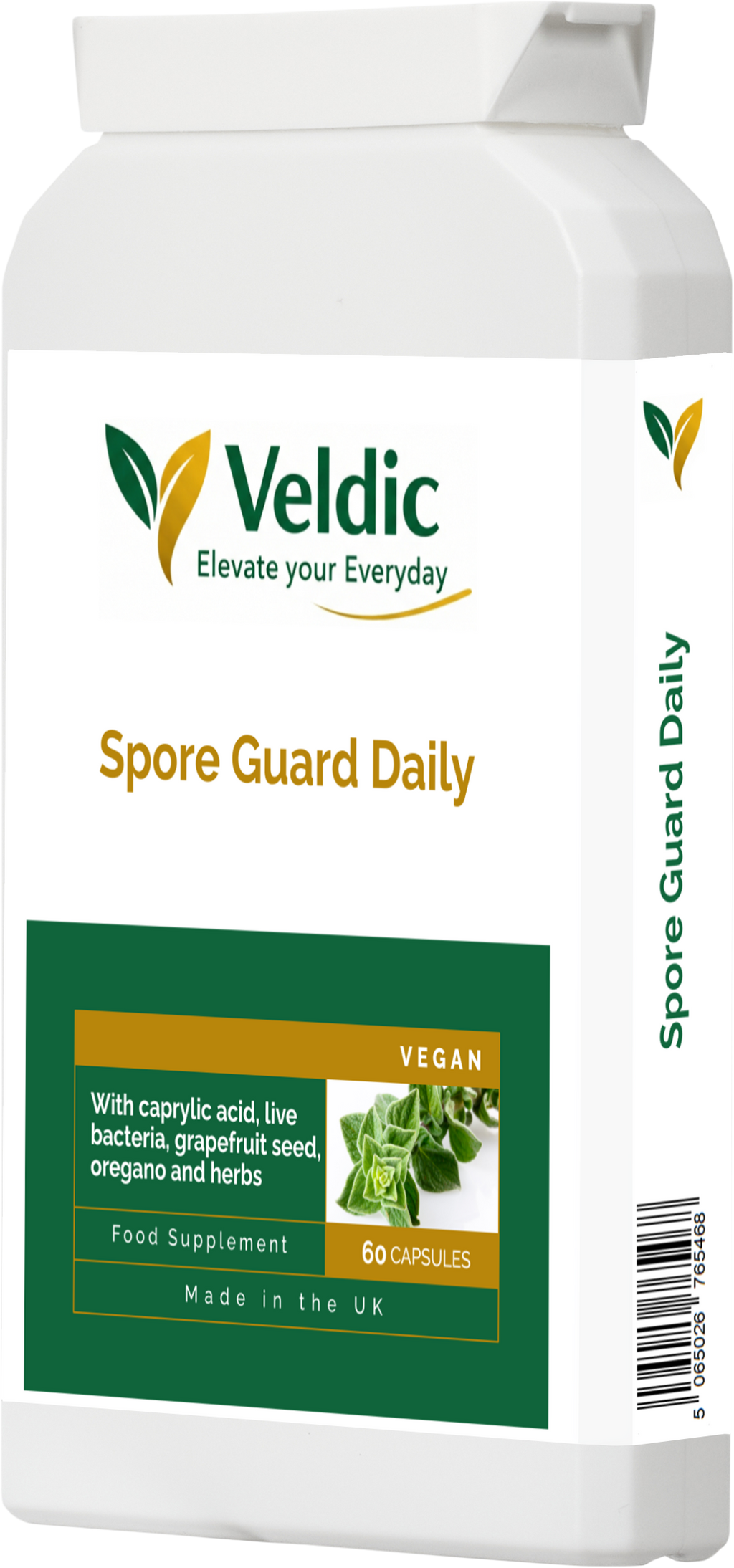 probiotic supplement for digestion support