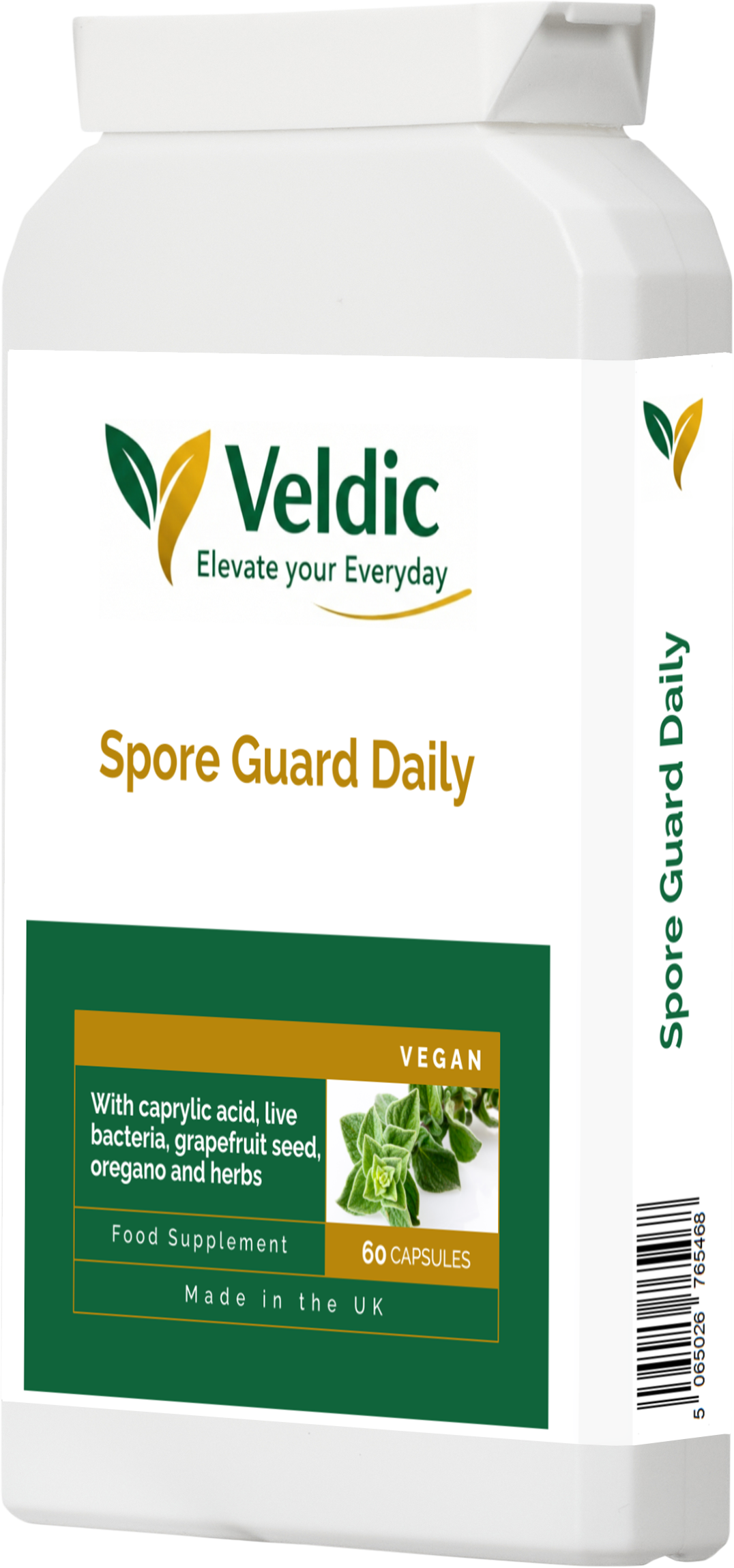 probiotic supplement for digestion support
